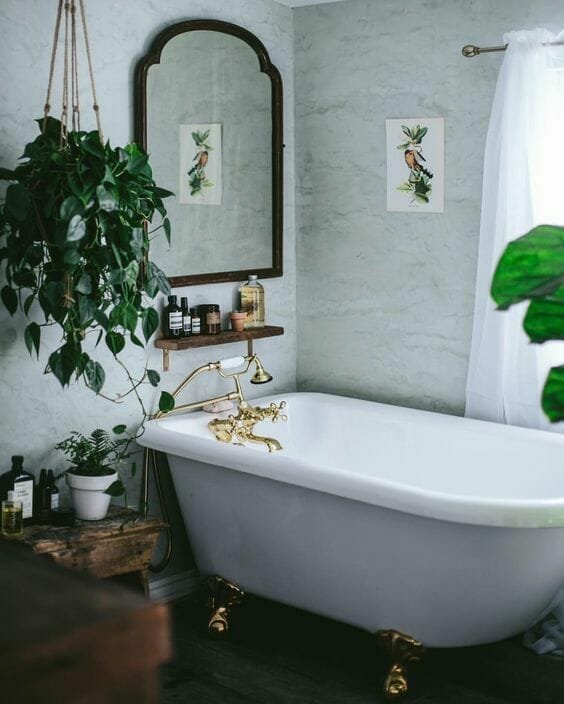 augalų vonios kambaryje įkvėpimas